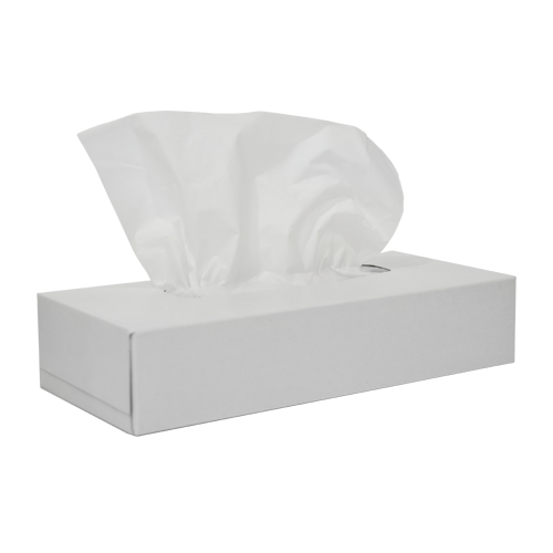 Facial Tissue White Box 80 Sheets | Pack Of 48
