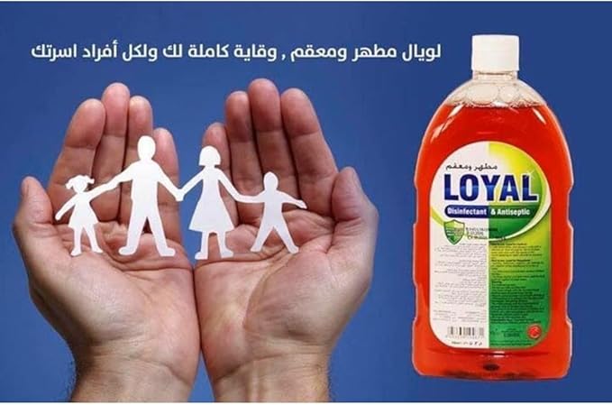 LOYAL Disinfectant & Antiseptic 750ML-Pack of 12
