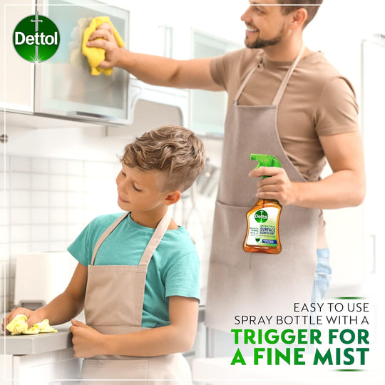 Dettol ASL Trigger 500ML (Twin Pack) | Pack of 6