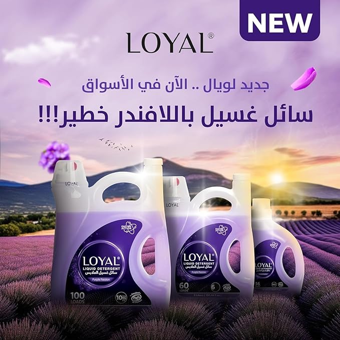 منظف سائل لويال برائحة اللافندر 3 لتر