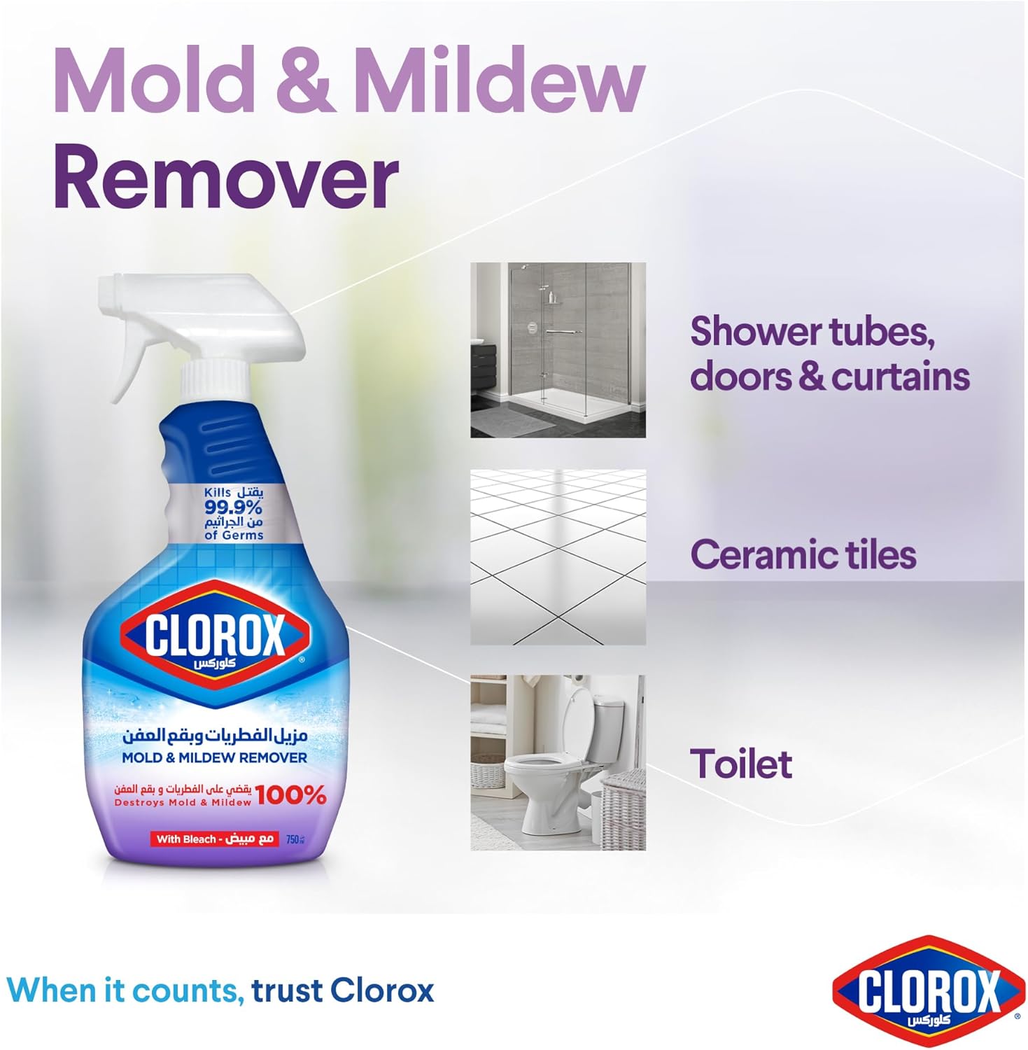 Clorox Mold & Mildew Remover 750ML