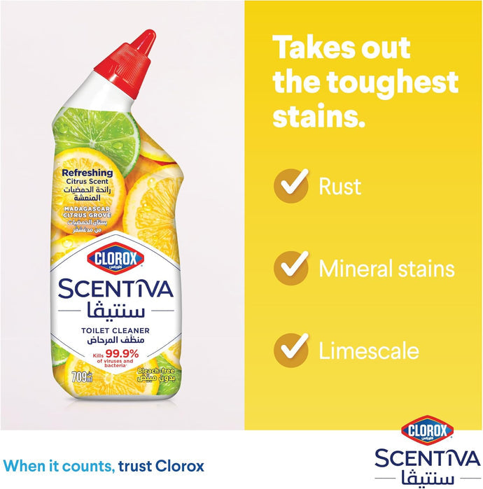 Clorox MTBC Citrus 709ML-Pack of 12