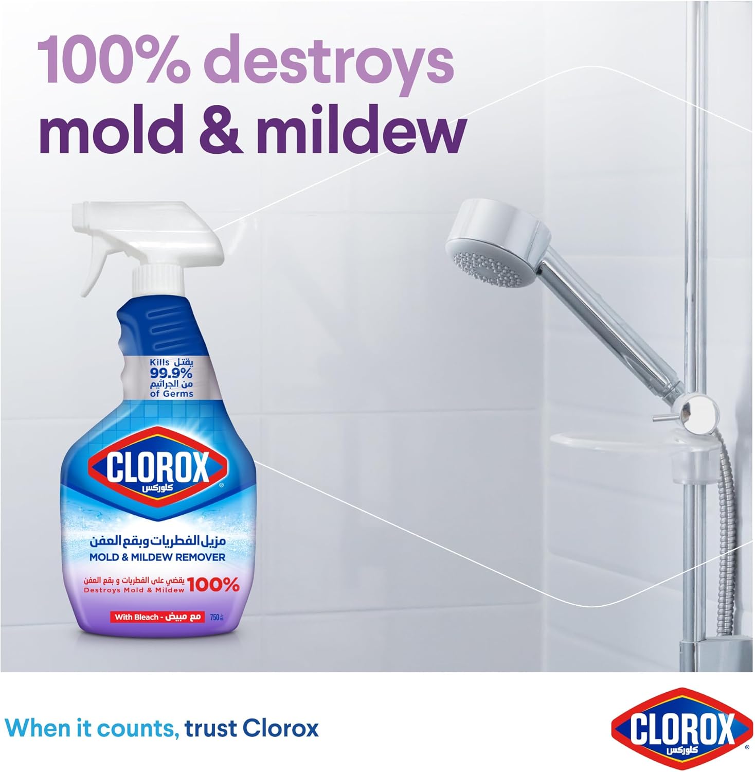 Clorox Mold & Mildew Remover 750ML