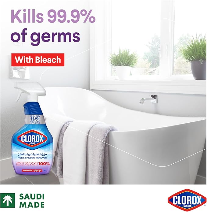 Clorox Mold & Mildew Remover 750ML