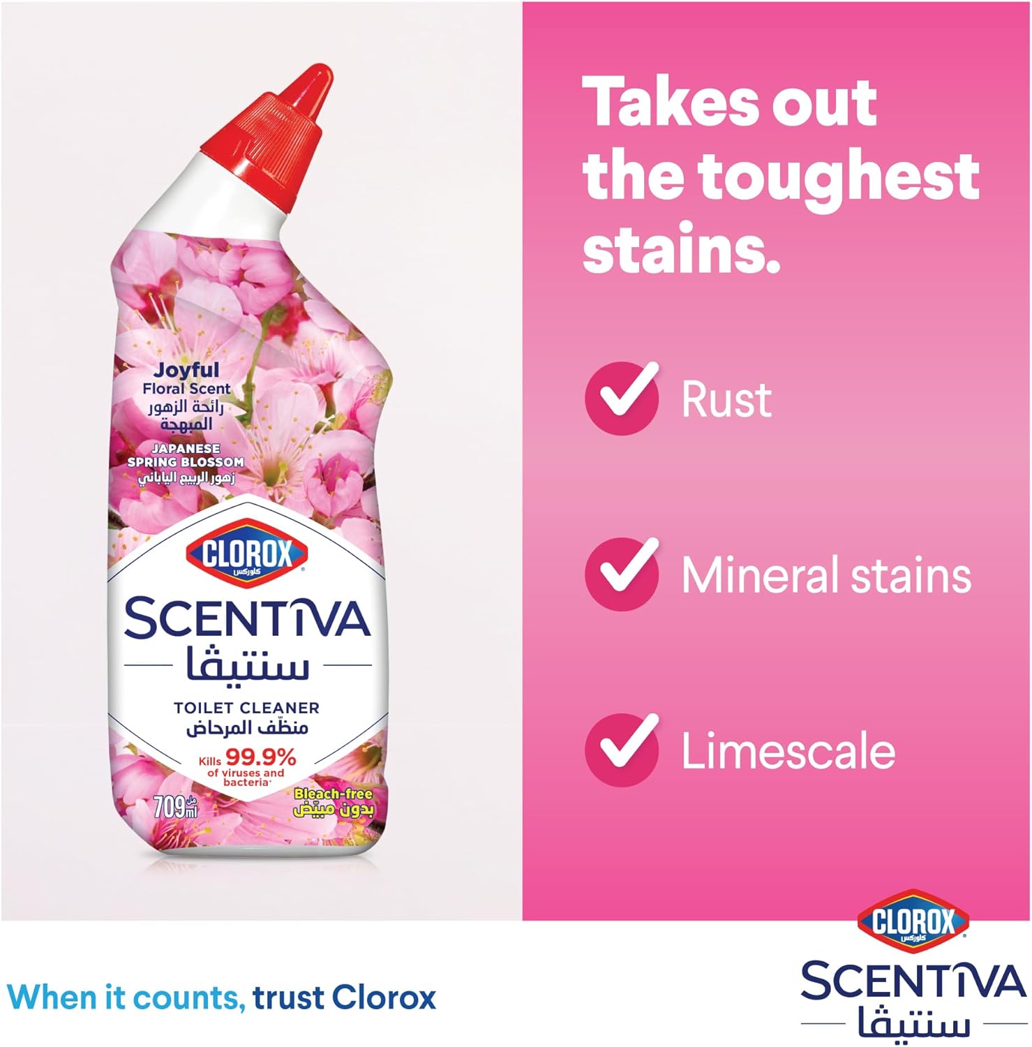 Clorox MTBC Japanese SPRING Blossom 709ML