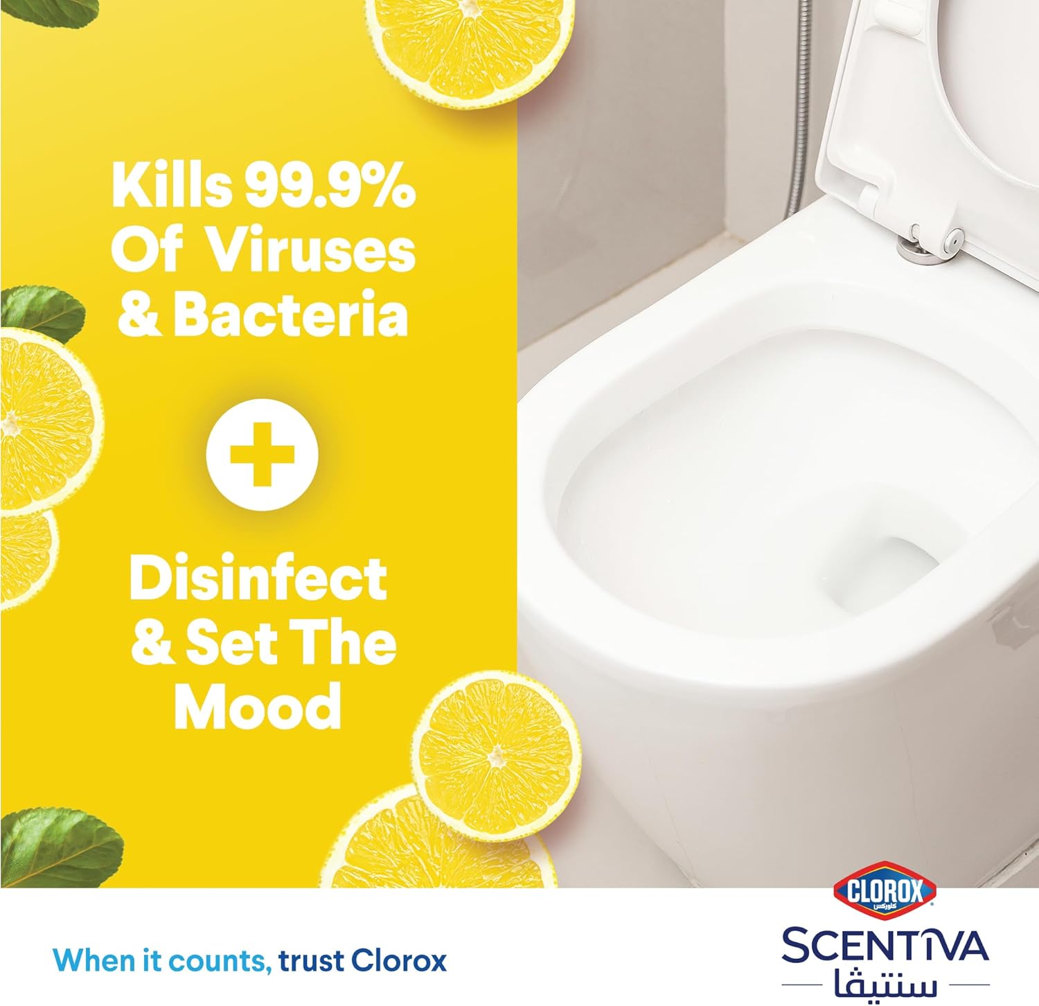 كلوركس MTBC الحمضيات 709 مل