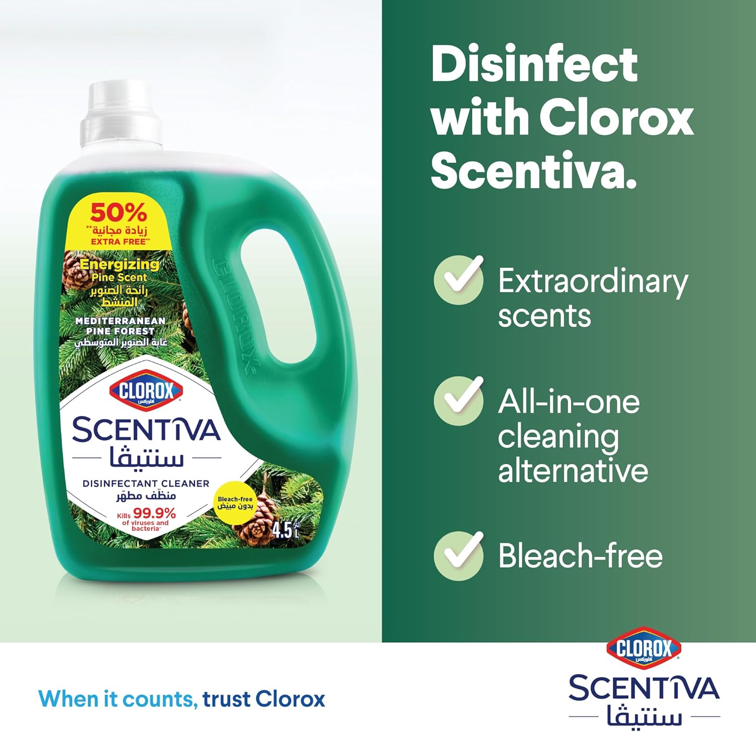 Clorox Scentiva 4.5L Mediterranean Pine Forest   |   Pack of 4