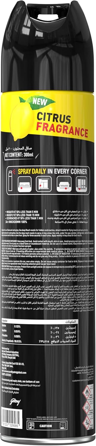Hit Spray Black 300ML