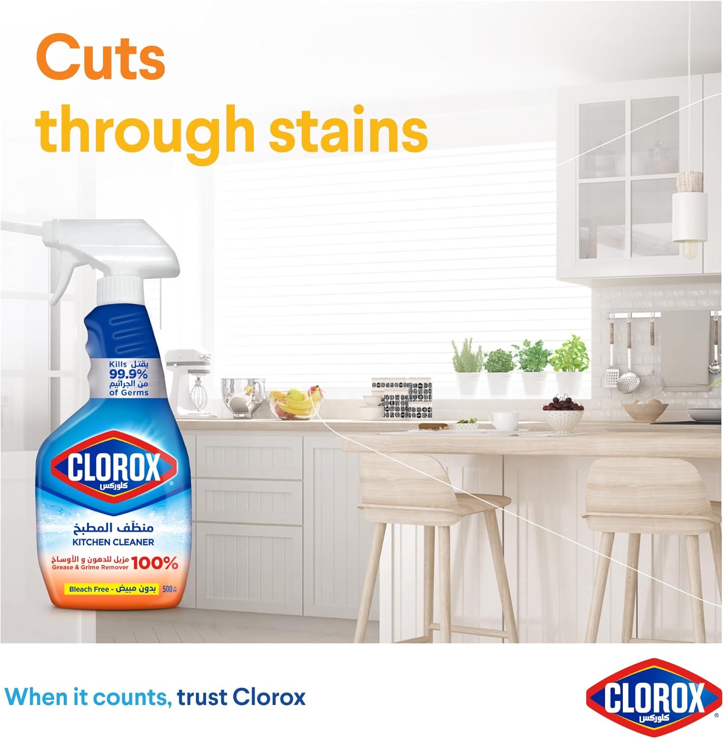 Clorox Kitchen Cleaner 500ML