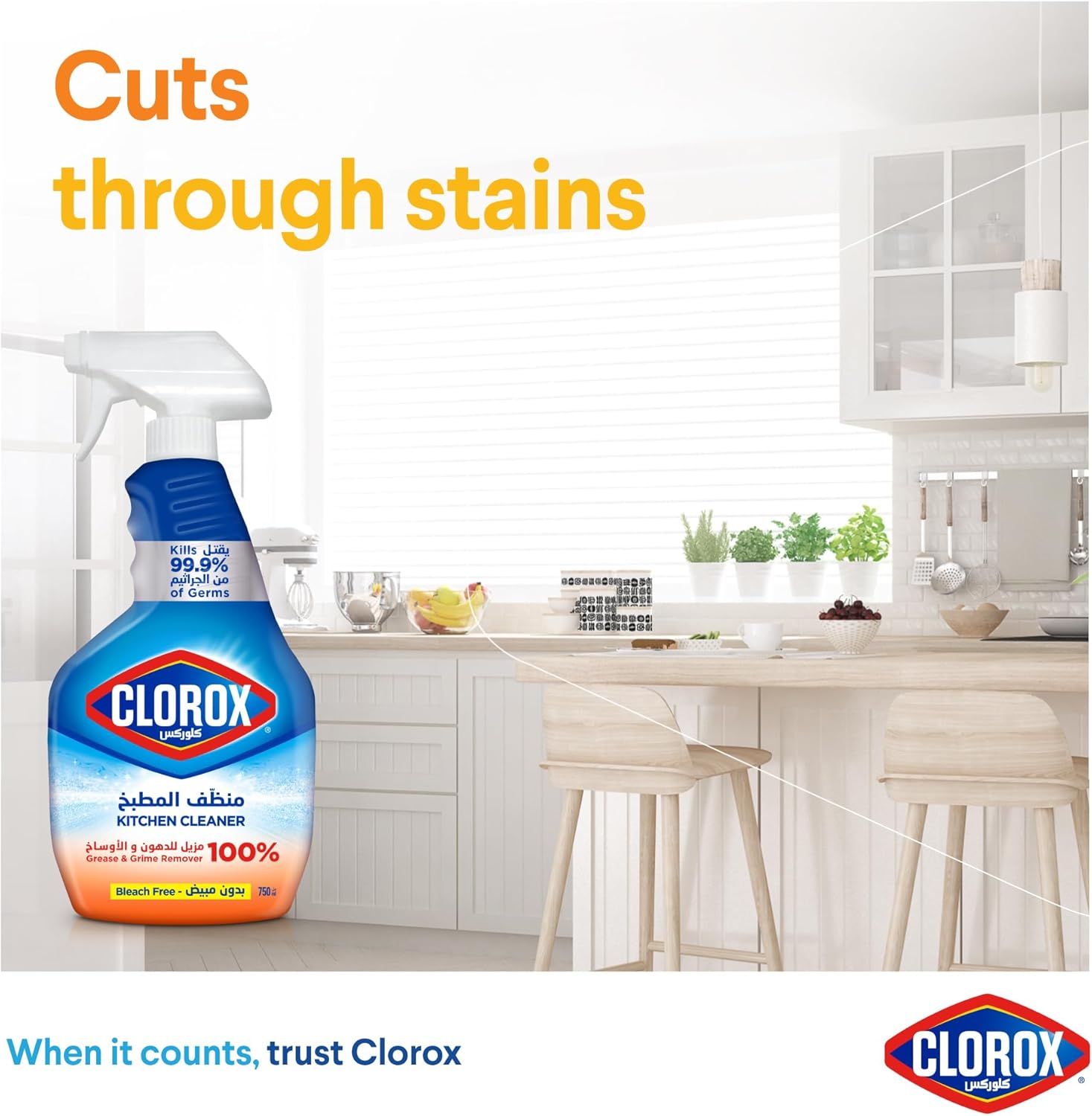 Clorox Kitchen Cleaner Regular 750ML