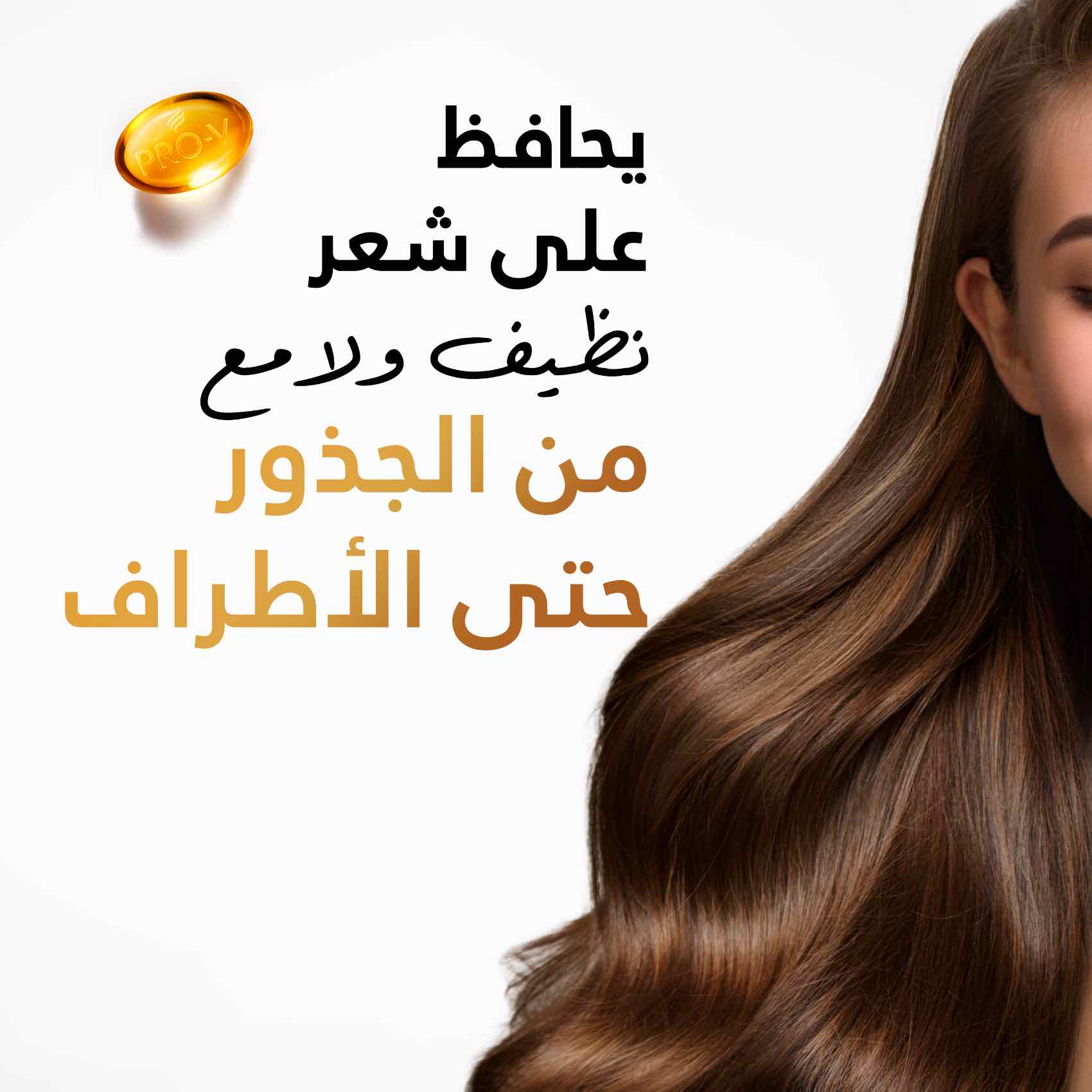 Pantene Shampoo Daily Care 375ML