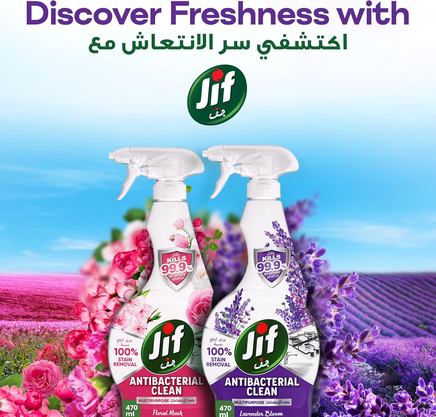 Jif Multipurpose Lavender Bloom 470ML
