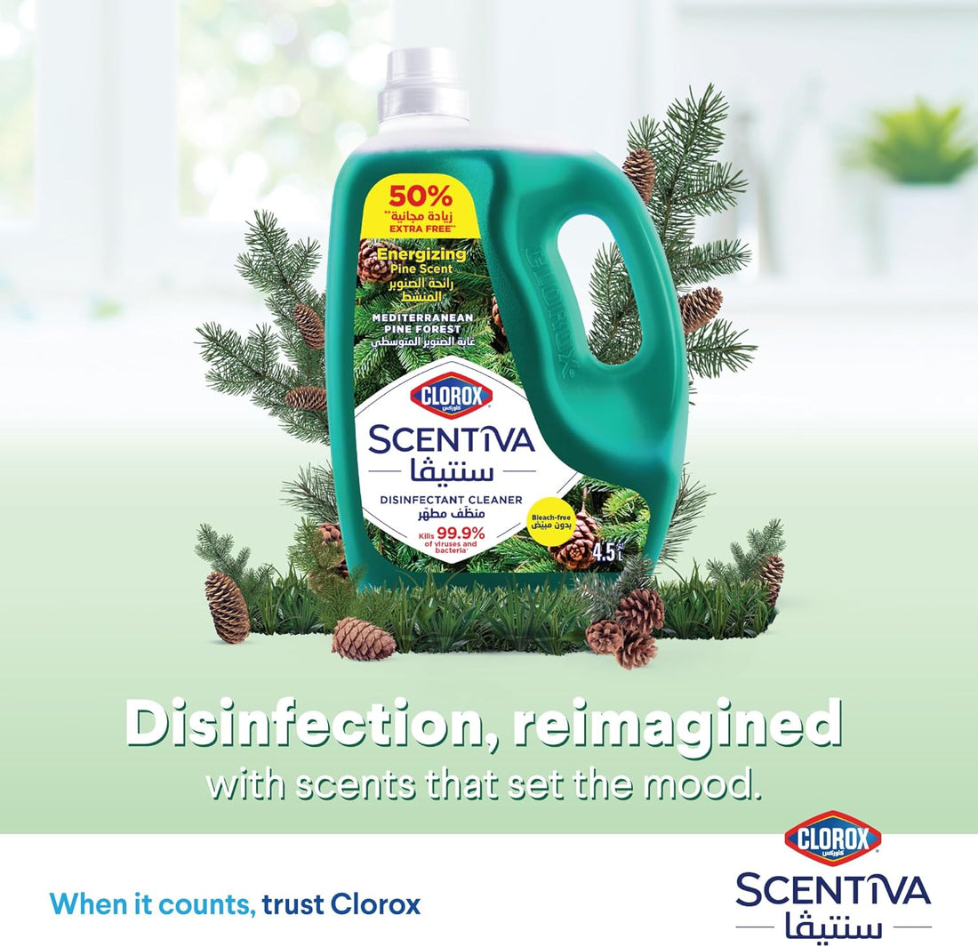 Clorox Scentiva 4.5L Mediterranean Pine Forest   |   Pack of 4