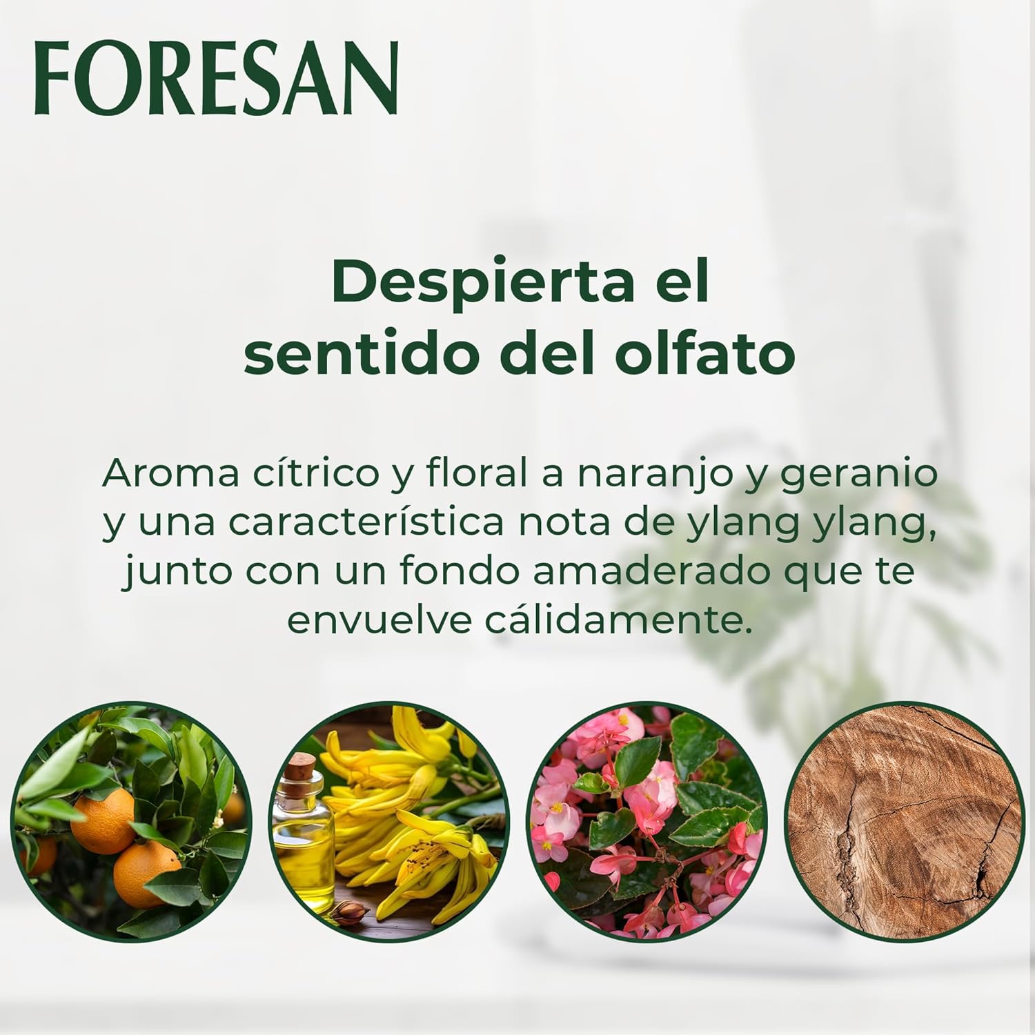 معطر جو مركز من فورسان 125 مل