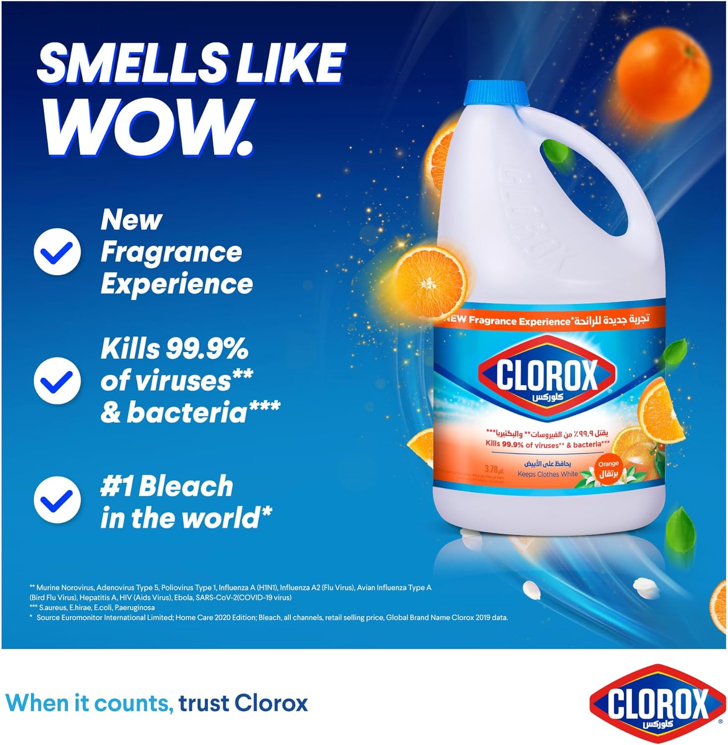 Clorox Orange Gallon 3.78L | Pack of 6