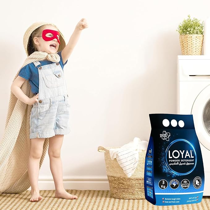 Loyal Powder Detergent 3KG | Pack of 4 | CTN