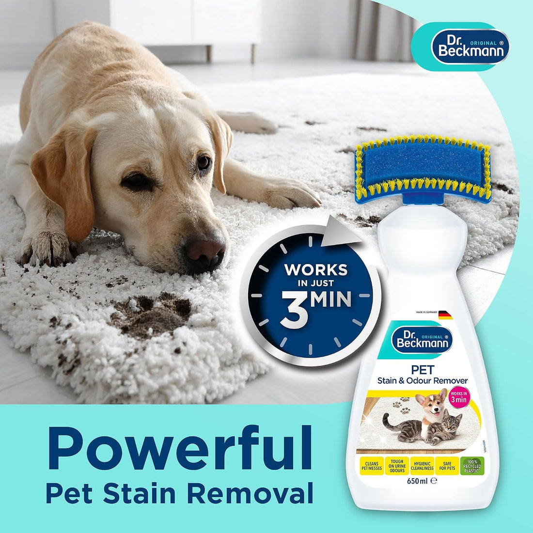 DB Pet Stain & Odour Remover 650ML Pack of 6