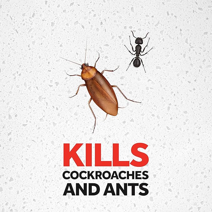 Raid CIK Powder 250G