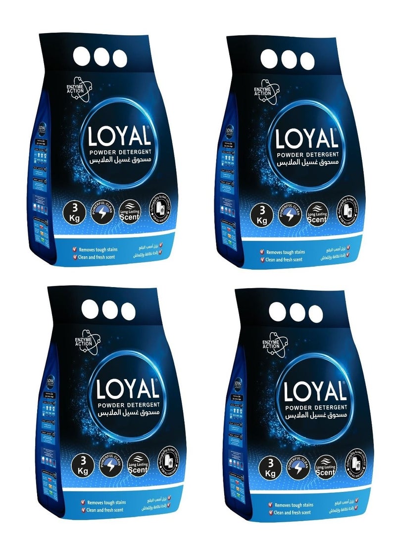 Loyal Powder Detergent 3KG | Pack of 4 | CTN