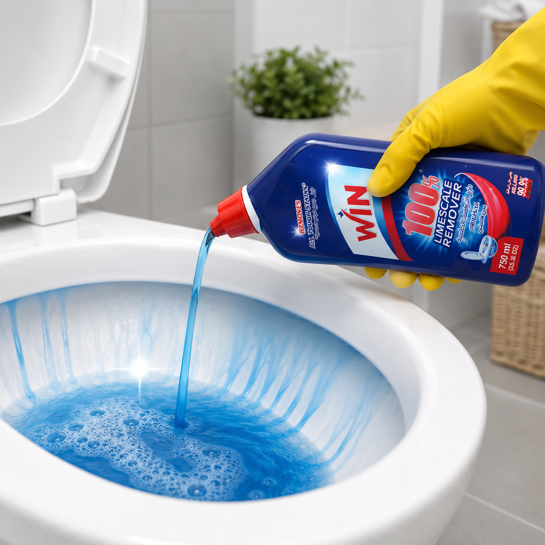 WIN Toilet Cleaner Original 750ml