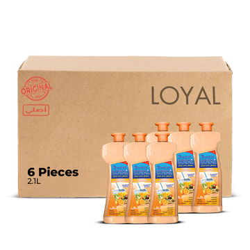 Loyal Multi Purpose Household 2.1L Tropical Fruits | Pack of 6 (CTN)