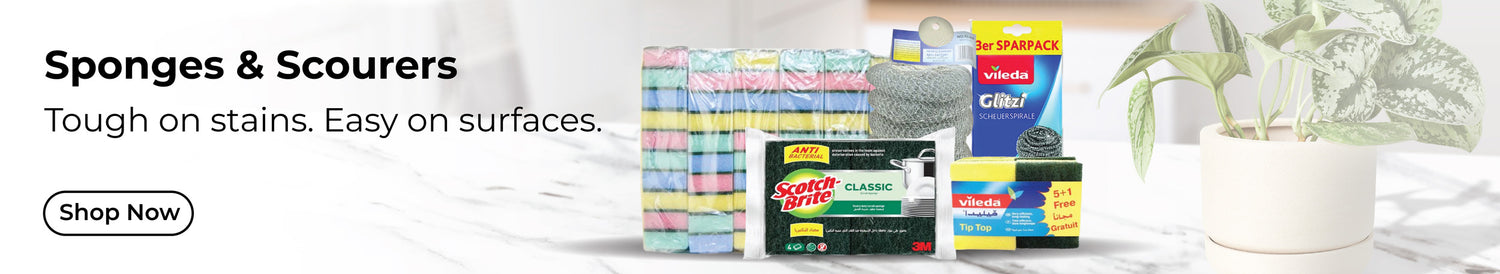 Sponges & Scourers