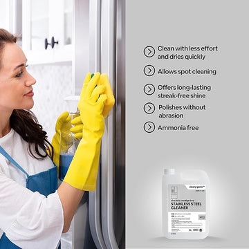 stainless steel cleaner