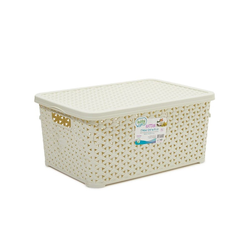 صندوق تخزين من الروطان مع غطاء سعة 10 لتر