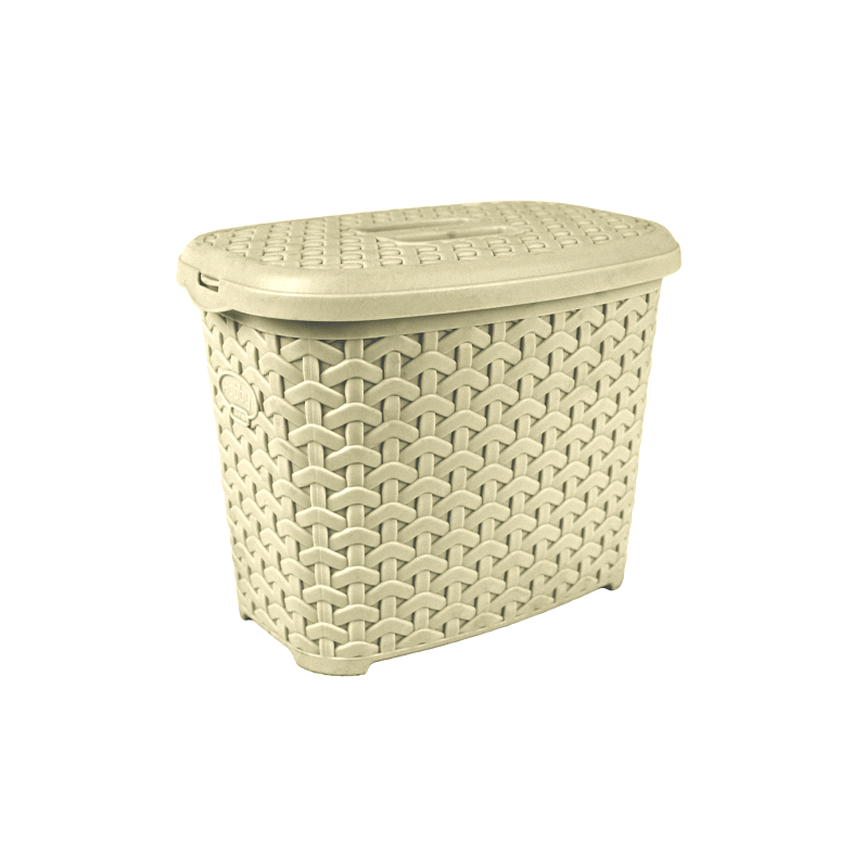 علبة منظفات الروطان