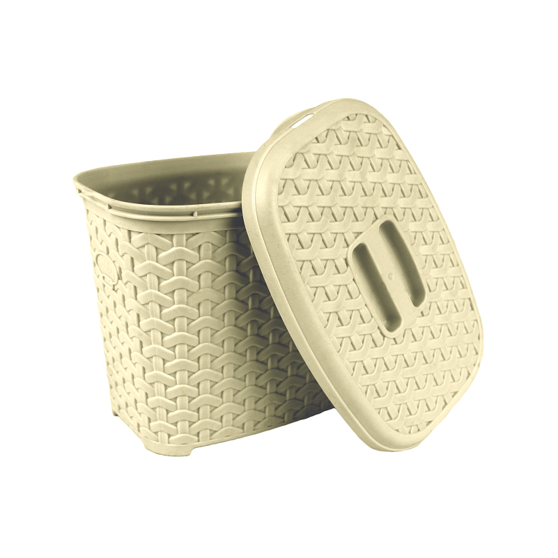 علبة منظفات الروطان