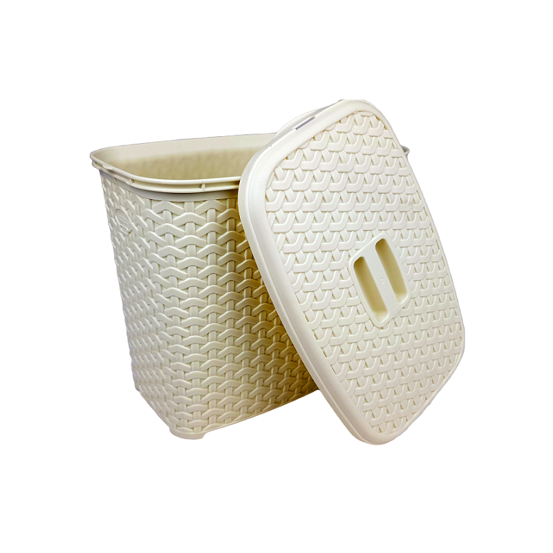 علبة منظفات الروطان