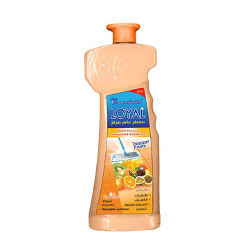 Loyal Multi Purpose Household Deodorizer 700ML Tropical Fruits