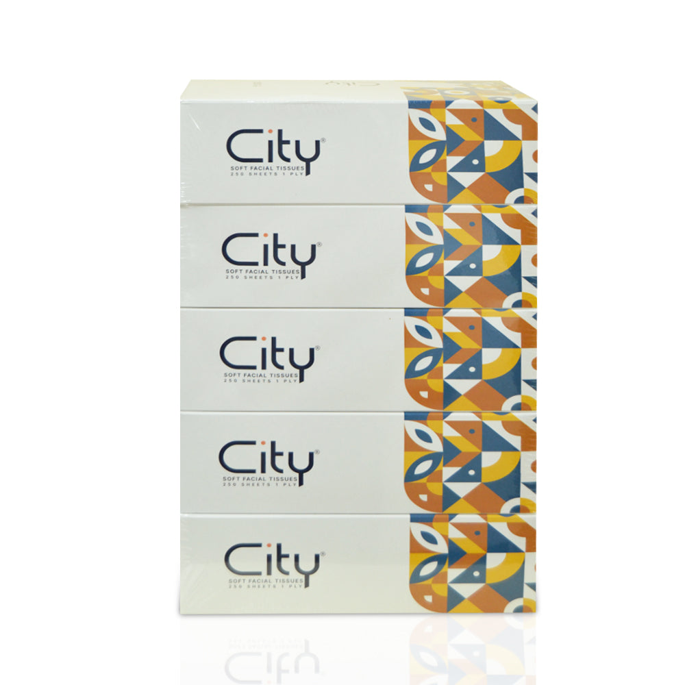 Facial Tissue City 250 Sheets | Pack of 5