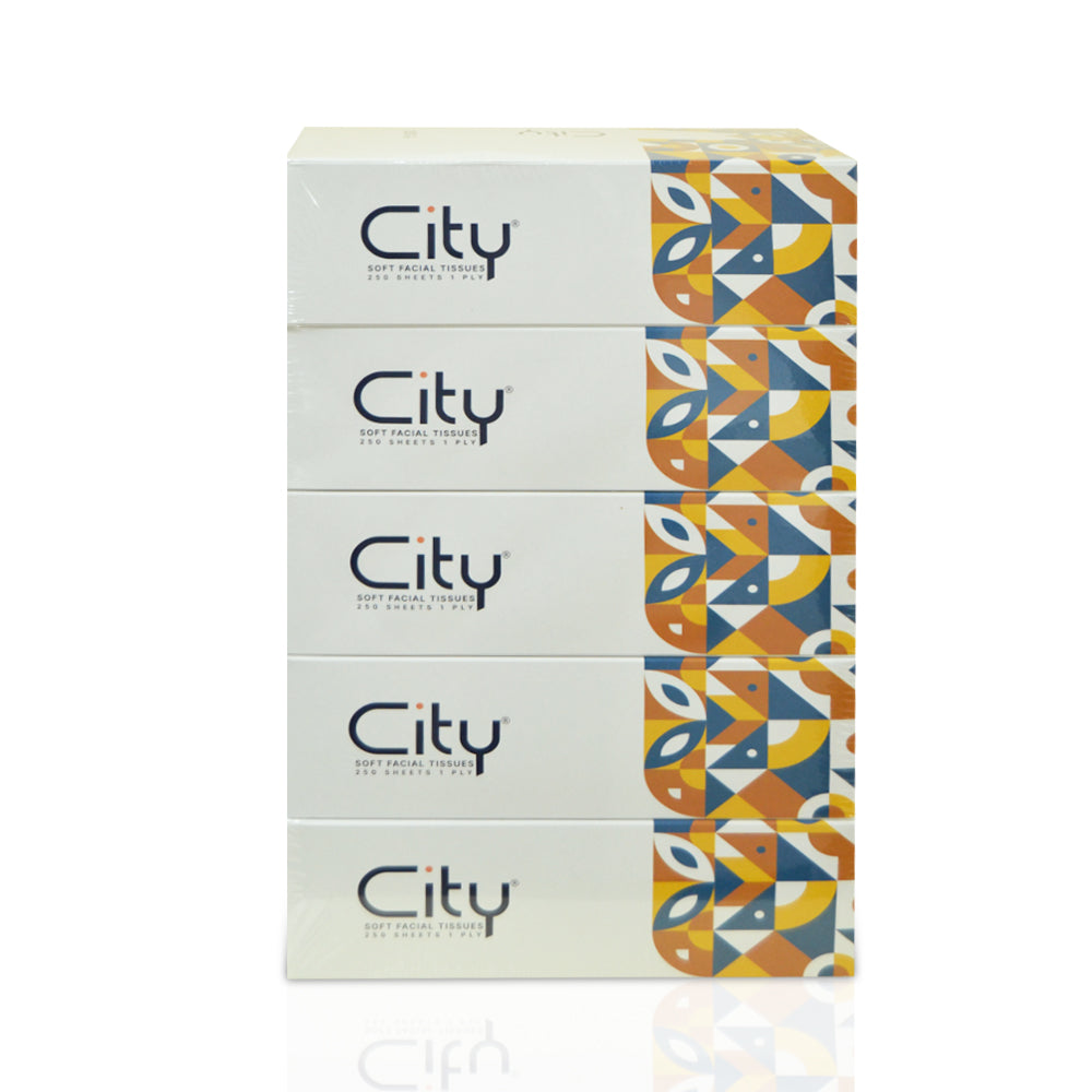 Facial Tissue City 250 Sheets | Pack of 5