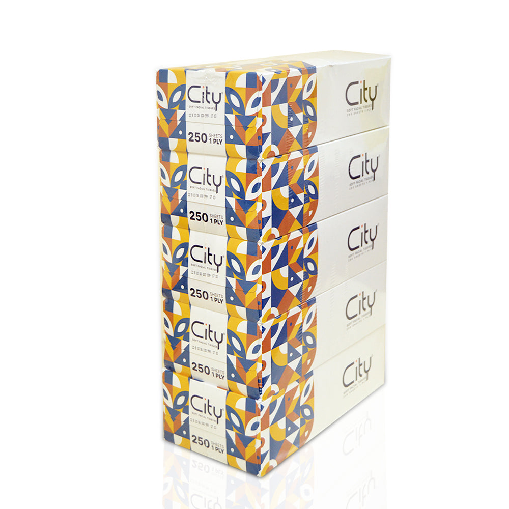 Facial Tissue City 250 Sheets | Pack of 5