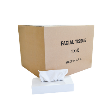 Facial Tissue White Box 80 Sheets | Pack Of 48