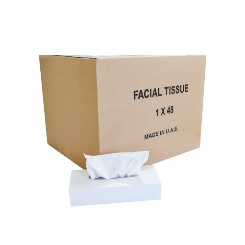 Facial Tissue White Box 80 Sheets | Pack Of 48