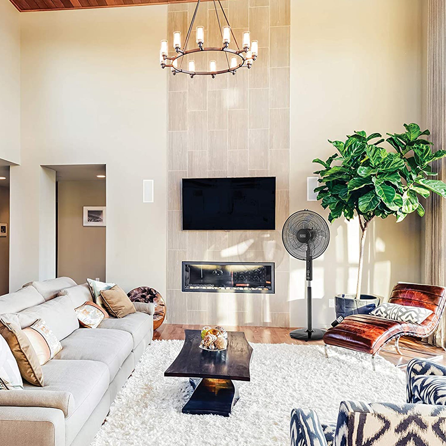 Pedestal Fan with Remote